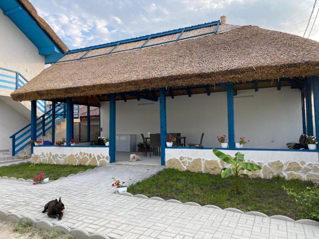 Casa Munteanu Mila Douazeci si Trei Exterior foto